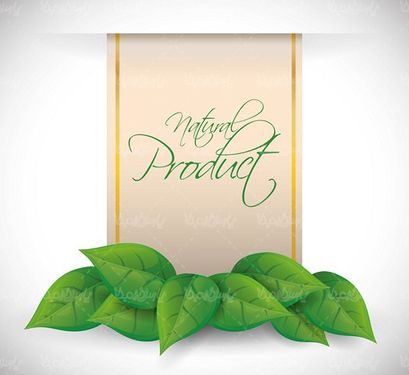 Vector Logo Organic Products