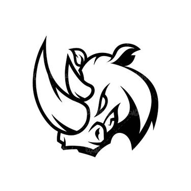 Vector Rhino
