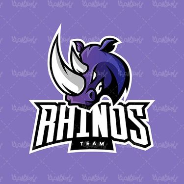 Vector Rhino