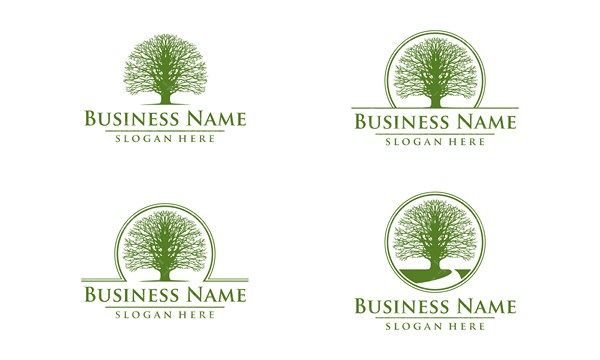 Vector Tree Logo