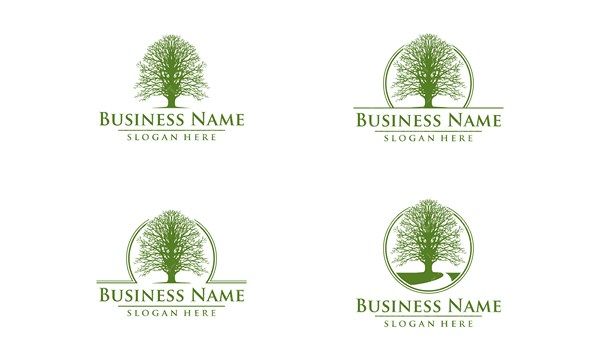 Vector Tree Logo