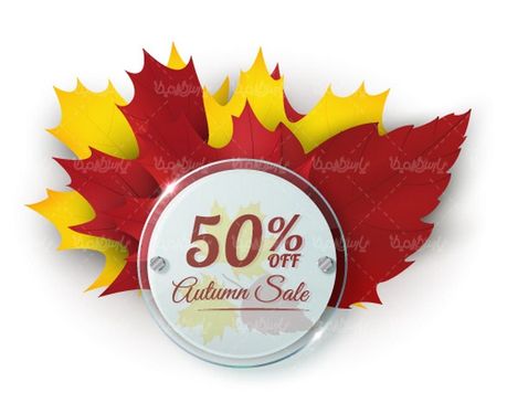 Autumn leaf vector