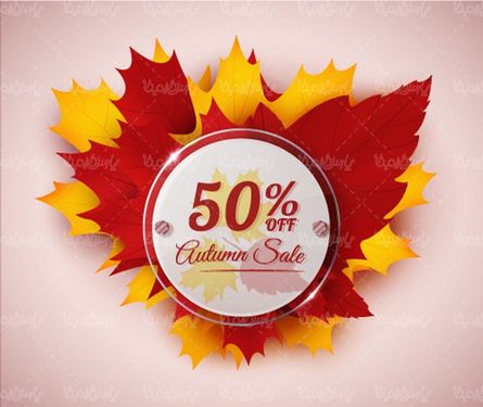 Autumn leaf vector