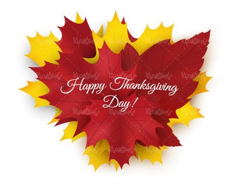 Autumn leaf vector