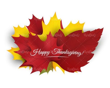 Autumn leaf vector