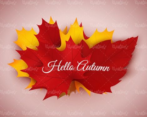 برچسب برگ پاییز