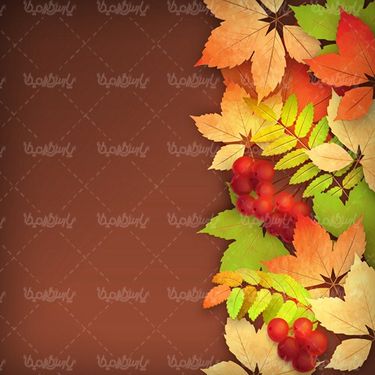 وکتور لیبل فروش پاییزی