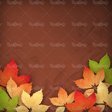 وکتور حاشیه برگ پاییز