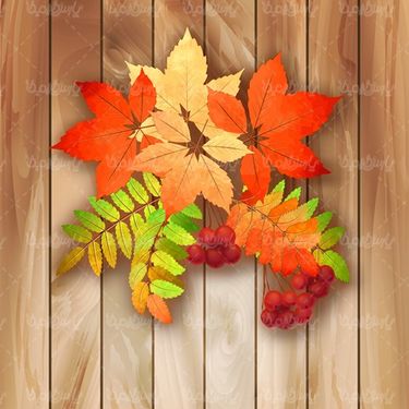 وکتور حاشیه برگ پاییز