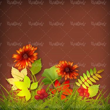 وکتور حاشیه برگ پاییز