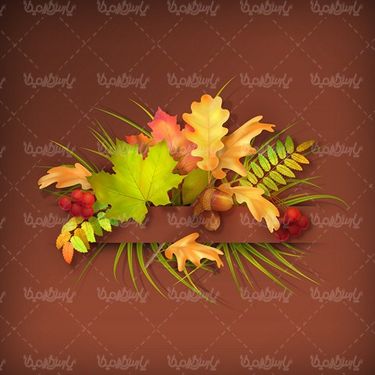 Autumn leaf margin vector