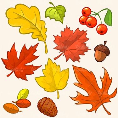 وکتور برگ پاییز
