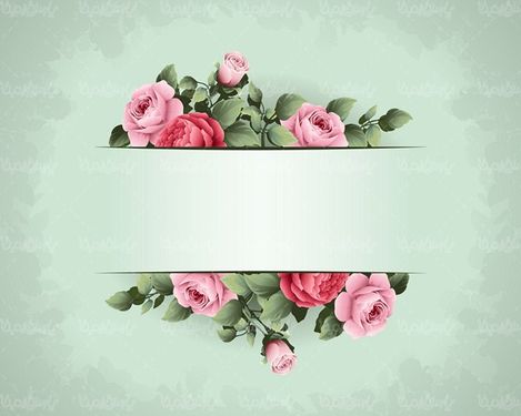 وکتور حاشیه گل و بوته