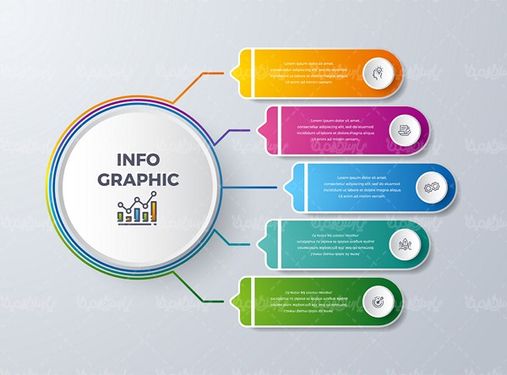 Infographic Vector