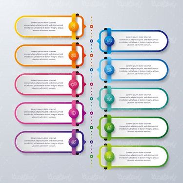 Infographic Vector