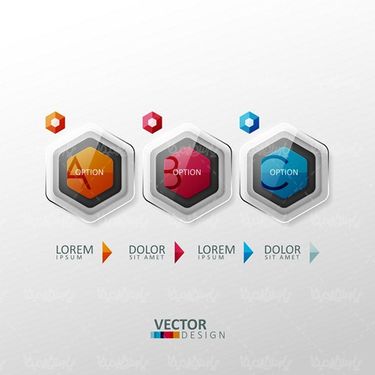 Infographic Vector