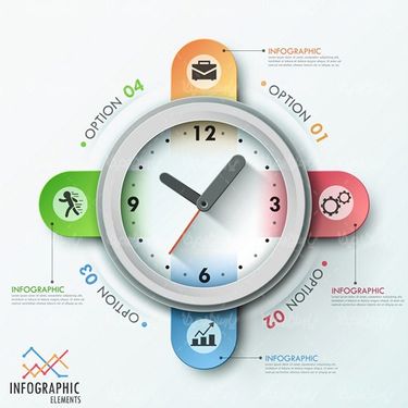 Graphic Infographic Vector