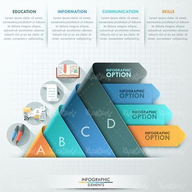 Graphic Infographic Vector