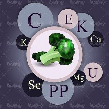 Vector Fruits and Vegetables