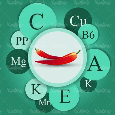 Vector Fruits and Vegetables