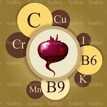 Vector Fruits and Vegetables