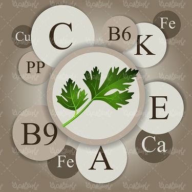 Vector Fruits and Vegetables