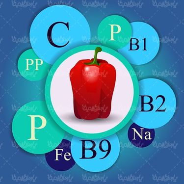 Vector Fruits and Vegetables