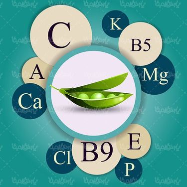 وکتور نخورد فرنگی