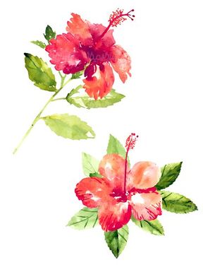 وکتور حاشیه گل