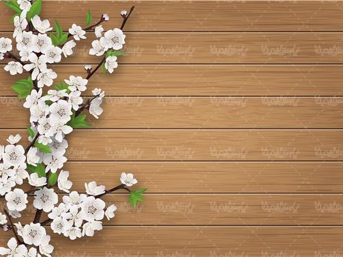 وکتور حاشیه گل و بوته