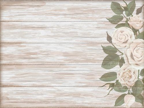 وکتور حاشیه گل و بوته
