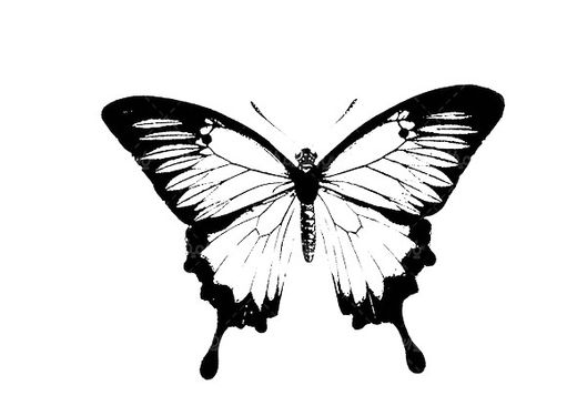 وکتور حشره