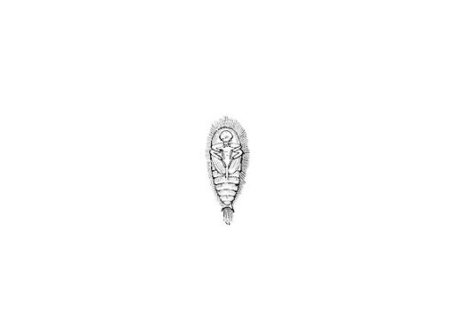 وکتور سوسک
