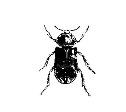 Vector Beetle