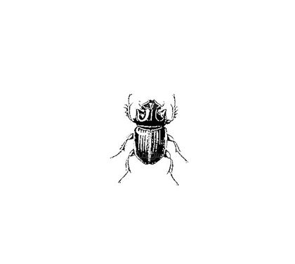 Vector Beetle