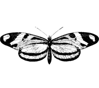 وکتور سیاه قلم پروانه