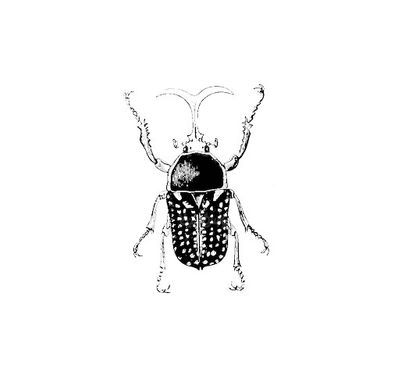 Vector Beetle