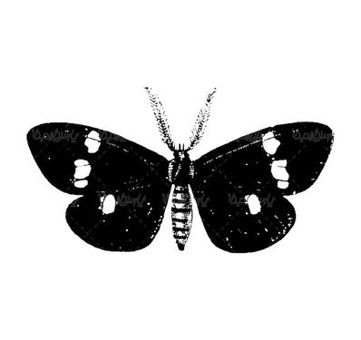Butterfly vector