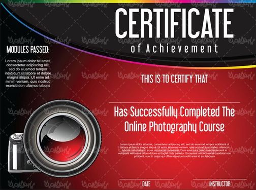 Vector Certification