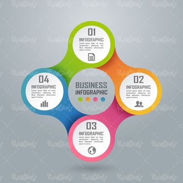 Vector Infographic