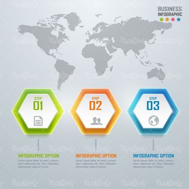 D vector infographic