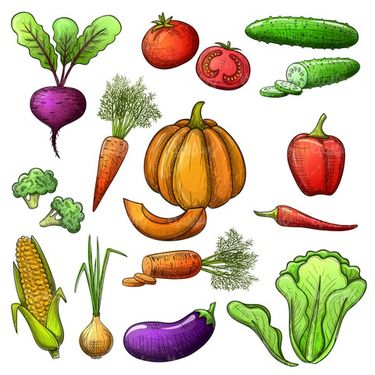 وکتور میوه و سبزیجات