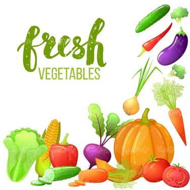 Vector Fruits and Vegetables
