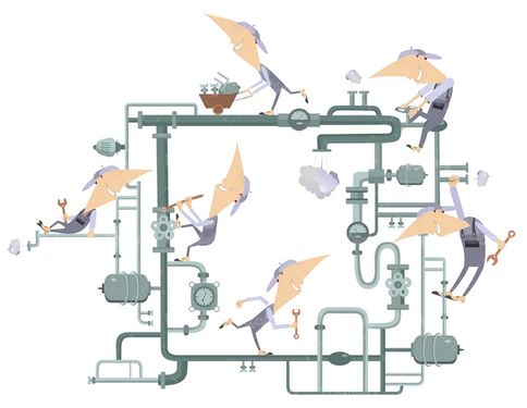 Installation vector