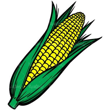 Corn vector
