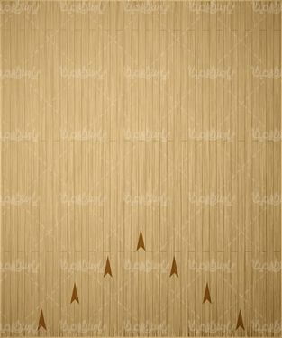 Bowling vector