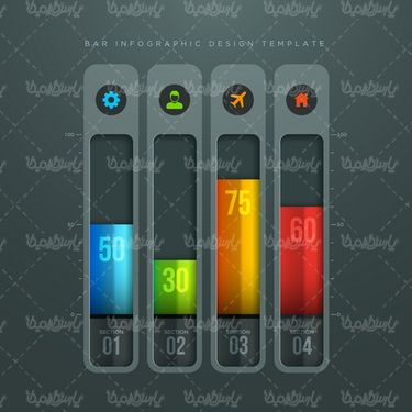 Vector Infographic