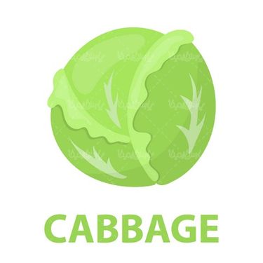 Vegetable vector