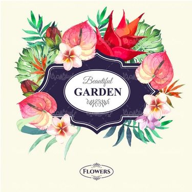 Flower Frame Vector
