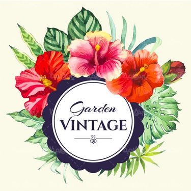 Flower Frame Vector